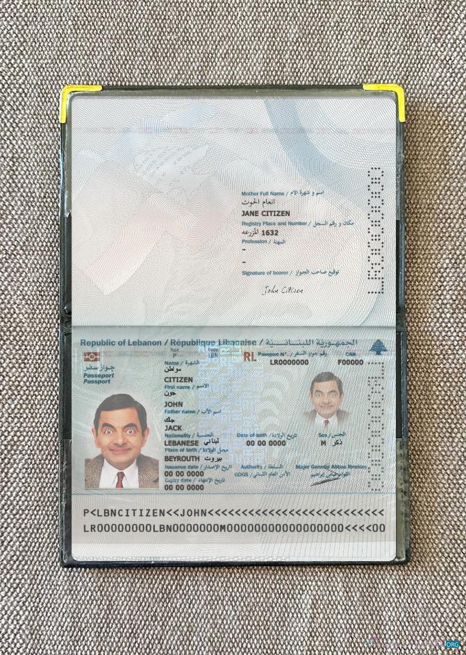 Download Lebanon passport 2022 present photolook Photoshop template